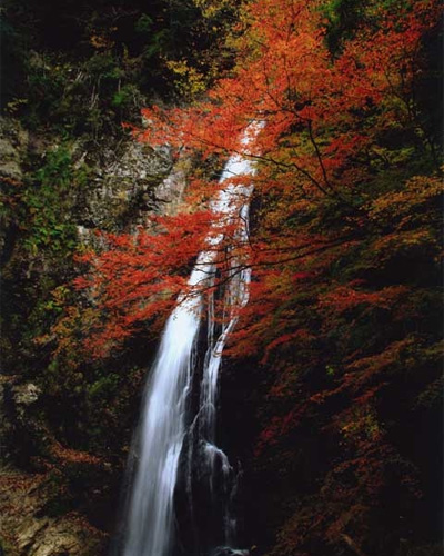 hyogo_ko05