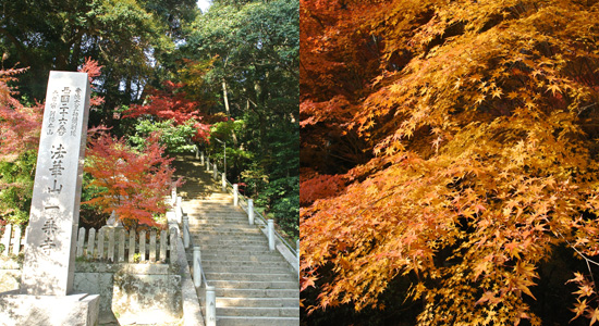 hyogo_ko06