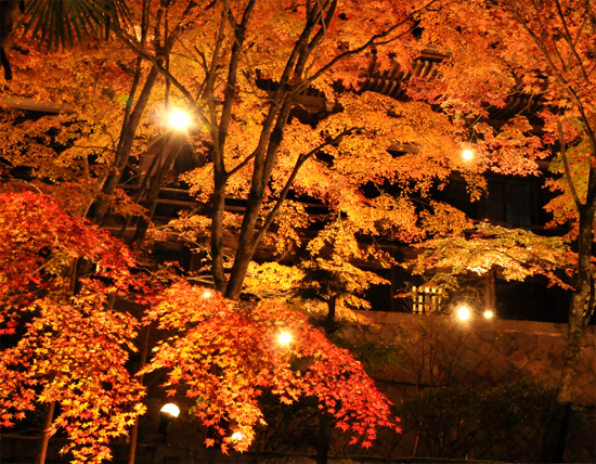 hyogo_ko08