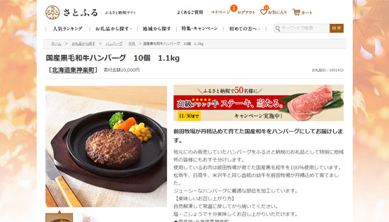 furu_hum08