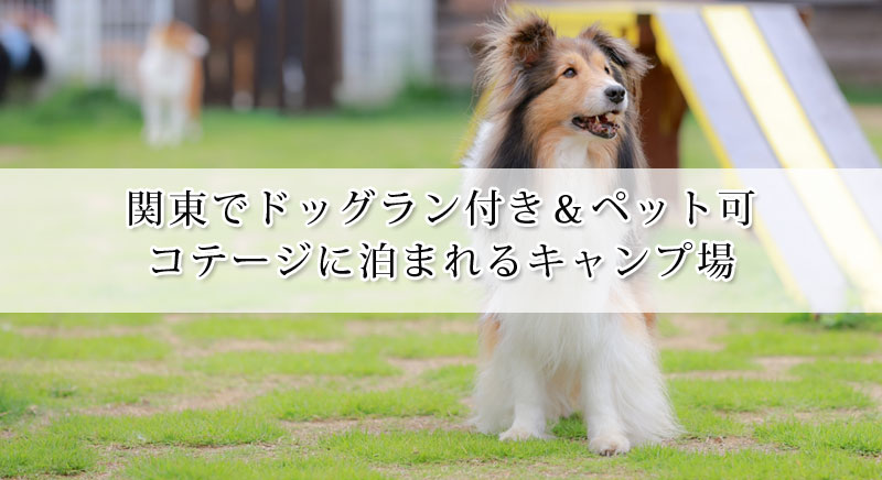 関東でドッグラン付き ペット可のコテージに泊まれるキャンプ場9選