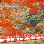 関西で紅葉の見える温泉へ！オススメのおしゃれ温泉8選！