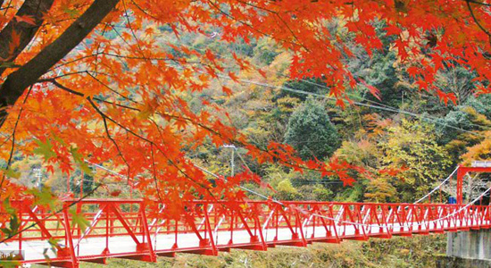 関西で紅葉の見える温泉へ オススメのおしゃれ温泉8選