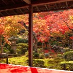 京都一乗寺の紅葉！おすすめスポットと人気カフェ4選！