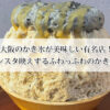 大阪のかき氷が美味しい有名店！インスタ映えするふわっふわのかき氷！
