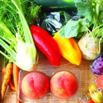 西日本の野菜宅配で無農薬やオーガニック野菜を扱うおすすめサイト9選！