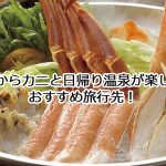 関西からカニと温泉が楽しめる日帰り旅行おすすめ10選！食べ放題が出来る宿も！