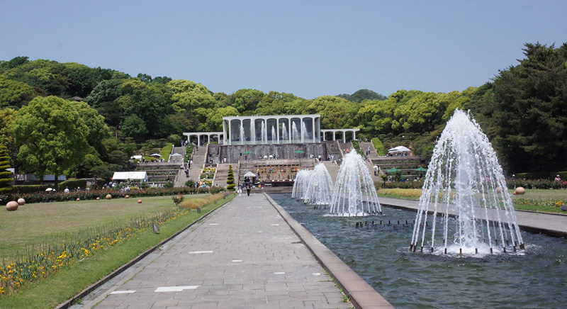 須磨離宮公園の割引クーポンをお得に使おう アスレチックの料金は 行き方もご紹介