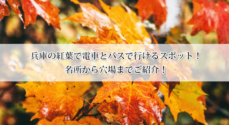 兵庫の紅葉で電車とバスで行けるスポット