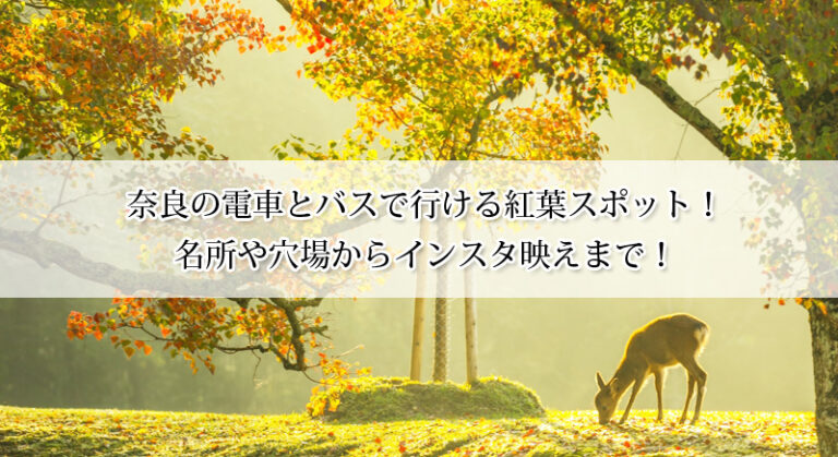 奈良の電車とバスで行ける紅葉スポット！名所や穴場からインスタ映えまで！