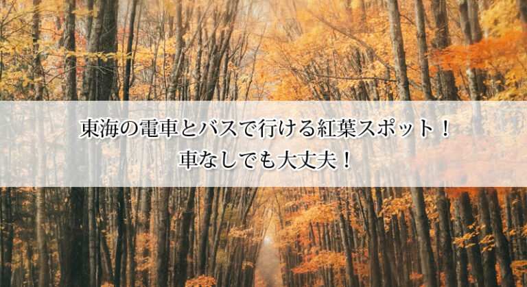 東海の電車とバスで行ける紅葉スポット