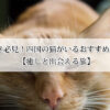 猫好き必見！四国の猫がいる宿おすすめ5選【癒しと出会える旅】
